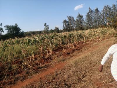 3 Acres on The Majestic Tana River, Kithimani, Machakos, Commercial Land for Sale