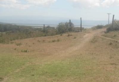 Prime 75 Acres, Moi South Lake Road, Naivasha East, Nakuru, Mixed-use Land for Sale