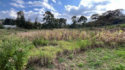 Prime Plot of Land in a Serene Location., Kibiko, Ngong, Kajiado, Mixed-use Land for Sale
