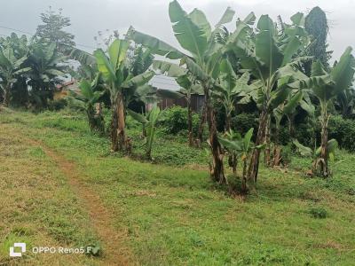 Plot in Kiambu, Lower Kabete, Kikuyu, Kiambu, Land for Sale