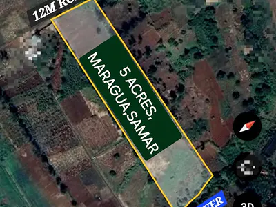 Land