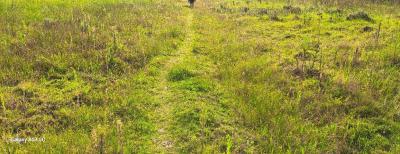 Prime 100 Acres of Virgin Land, Off Naivasha-nakuru Road, Naivasha East, Nakuru, Mixed-use Land for Sale