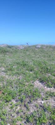 Prime Two Acres, Tezo, Kilifi, Sokoni, Kilifi, Mixed-use Land for Sale