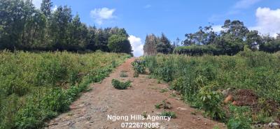 Residential Plots  in Kibiko, Ngong, Kibiko, Ngong, Kajiado, Land for Sale