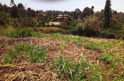 Plots with Freehold Titles, Kikuyu, Kiambu, Land for Sale