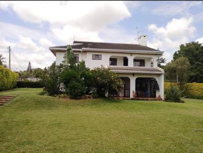 Amazing 4 Bedroom Home All Ensuite with Dsq on Half Acre in Runda., Runda, Westlands, Nairobi, House for Sale