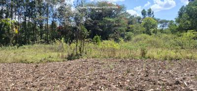a Prime 1-acre Canvas at Nairobis Next Growth Epicenter, Kerarapon Drive, Ngong, Kajiado, Commercial Land for Sale