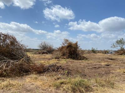 Affordable 15 Acre Fertile Land, Malindi - Tsavo Road, Malindi, Malindi Town, Kilifi, Mixed-use Land for Sale
