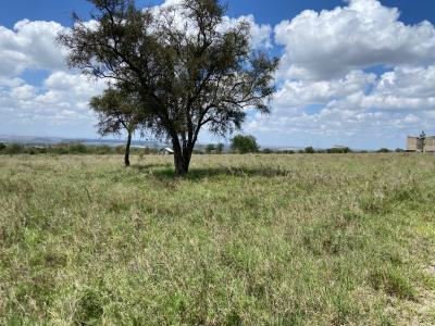 Prime 1 Acre Land, Chakama, Malindi, Malindi Town, Kilifi, Mixed-use Land for Sale