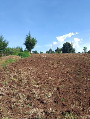 12 Acres Agricultural Land in  Kieni East, Nyeri County, Kieni East.kabaru, Naromoru Kiamathaga, Nyeri, Mixed-use Land for Sale