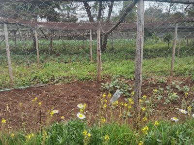 1 Acre Land, Windyridge, Karen, Nairobi, Residential Land for Sale