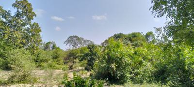 Prime 10-acre Investment Land in Mijomboni, Malindi, Mijomboni, Malindi Town, Kilifi, Commercial Land for Sale