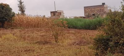 Prime Plot, Tatu City, Tinganga, Kiambu, Land for Sale