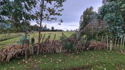 Residential Land  Nakuru, Dundori, Nakuru, Land for Sale