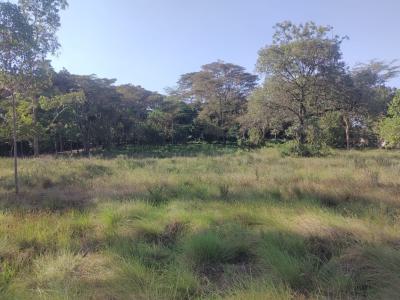 1 Acre Plots in a Gated Community, Forest Edge Road, Karen, Nairobi, Residential Land for Sale