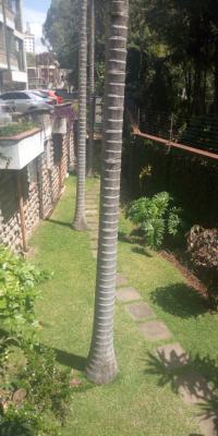 Two (2) Bedroom Spacious Apartment on 1st Floor, Kenton College, Kileleshwa, Nairobi, Apartment for Rent