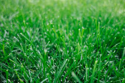 0.9 Acre of Land James Gichuru Lavington, James Gichuru, Lavington, Nairobi, Land for Sale