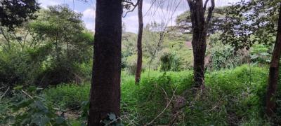 2-acre Land -- Karen, Near Giraffe Centre Fertile Red Soil, Ma, Karen, Karen, Nairobi, Mixed-use Land for Sale
