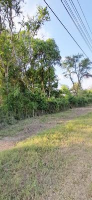 Prime Quarter Acre, Sokoni, Kilifi, Land for Sale