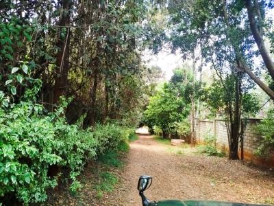 Prime 1 Acre Land with Ready Title Deed, Karen, Nairobi, Land for Sale