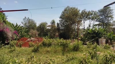 1 Acre Land, Treelane, Karen, Nairobi, Mixed-use Land for Sale