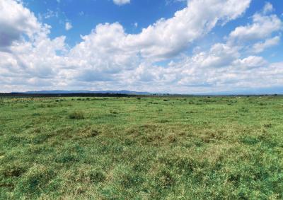 Prime and Serene Plots, Just Next to a Conservancy, Nanyuki, Laikipia, Mixed-use Land for Sale