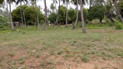 1 Acre in Dabaso Crab Shark Asking Price Is 12m, Watamu, Watamu, Kilifi, Mixed-use Land for Sale