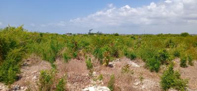 12 Acres Asking Price per Acre Is 12m Negotiable Contact 07189, Watamu, Watamu, Kilifi, Mixed-use Land for Sale