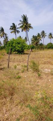 1 Acre Prime Land Touching The Tarmac, Takaungu, Kilifi, Sokoni, Kilifi, Mixed-use Land for Sale