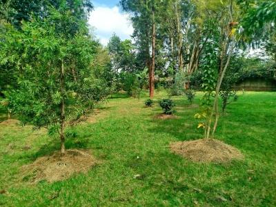 Prime 1-acre Land  with Red Soil and Ready Title Deed, Windyridge, Karen, Nairobi, Land for Sale