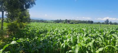 Prime Land, Njoro Nakuru Highway, Njoro, Nakuru, Mixed-use Land for Sale