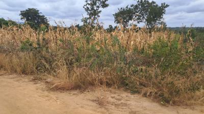 Prime Agricultural Land in a Serene Environment, Siakago Embu, Kagaari North, Embu, Mixed-use Land for Sale