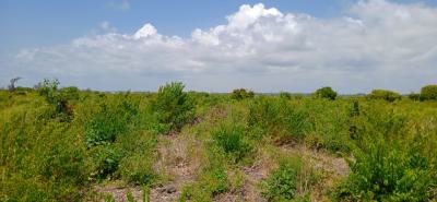 Prime 12 Acres Land with Flexible Subdivision Options, Watamu, Kilifi, Land for Sale
