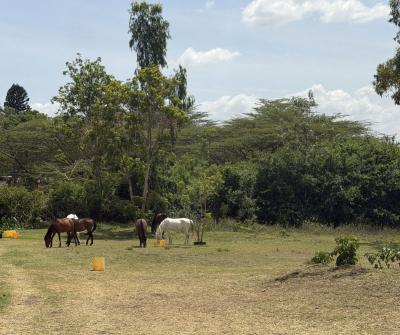 One Acre Karen, Karen, Nairobi, Land for Sale