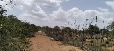 Prime 180-Acre Farmland