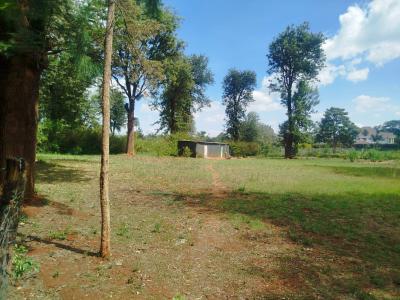 Prime Half Acre with Ready Documentation, Kcb, Karen, Nairobi, Land for Sale