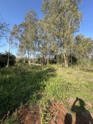 Prime 1 Acre Land with Ready Title Deed, Kcb, Karen, Nairobi, Land for Sale