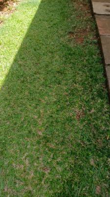 1 Acre of Land, Kaputei, Lavington, Nairobi, Land for Sale