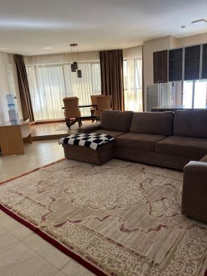 Luxurious 2 Bedroom Fully Furnished Apartment in Kilimani, Kilimani, Kilimani, Nairobi, Apartment for Rent