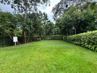 0.5 Acres in Ridgeways, Ridgeways Road, Thindigua, Nairobi, Land for Sale