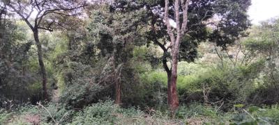 2-acre Land -- Karen, Near Giraffe Centre Fertile Red Soil,mat, Karen, Karen, Nairobi, Mixed-use Land for Sale