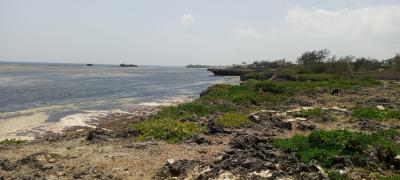Iconic 1-acre Oceanfront Property in Watamu, Watamu, Watamu, Kilifi, Land for Sale