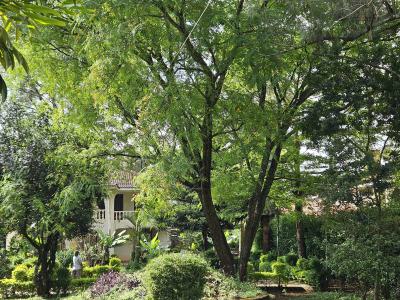 5-bedroom House with Sq Sits on Half an Acre in Karen, Hardy Ndovu Rd., Karen, Karen, Nairobi, Townhouse for Sale