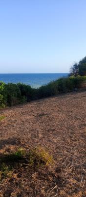 Beach Front Land, Bofa Beach, Sokoni, Kilifi, Mixed-use Land for Sale