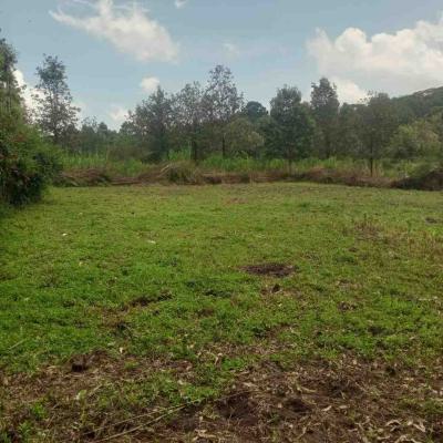1/4 Acre, Lemiso Road, Ngong, Kajiado, Residential Land for Sale