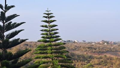 Prime 7-acres Land Near Daystar University, Lukenya, Lukenya, Athi River, Machakos, Mixed-use Land for Sale