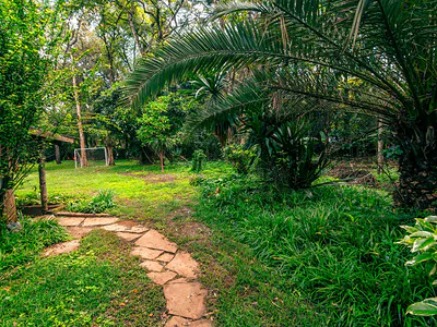 Prime 5 Acre Development Plot