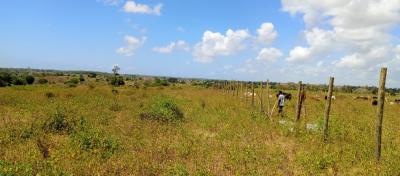 Affordable Creek View Plots, Kilifi Creek, Kilifi, Sokoni, Kilifi, Mixed-use Land for Sale