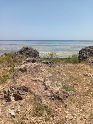 1 Acre Ocean Front Gem, Kikambala Beach, Mtwapa, Kilifi, Mixed-use Land for Sale