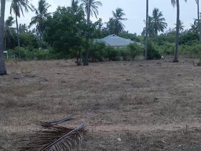 Prime 1-acre Land in Dabaso, Watamu, Dabaso, Dabaso, Kilifi, Mixed-use Land for Sale